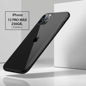 iPhone 12 Pro Max 256GB